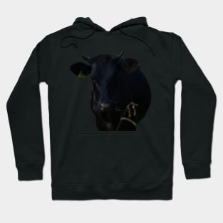 Black Cow Hoodie